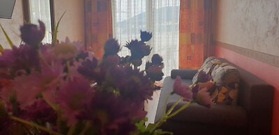 Apartments Stević - Monaco