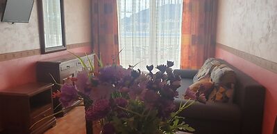 Apartments Stević - Monaco