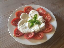 Agriturismo Costa di Faraggiana