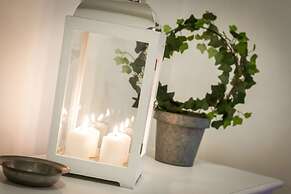 La Contrada del Pittore