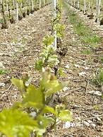 La Colline aux Fustes