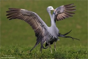 Old Cape Last Trading Post