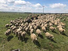 Luiperdkloof Trout Lodge