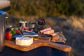 Stargazer Camp - Bellevue Forest Reserve