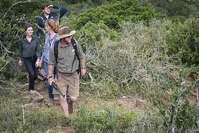 Stargazer Camp - Bellevue Forest Reserve