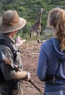Stargazer Camp - Bellevue Forest Reserve