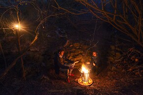 Stargazer Camp - Bellevue Forest Reserve