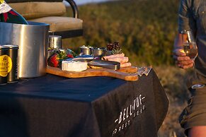 Stargazer Camp - Bellevue Forest Reserve