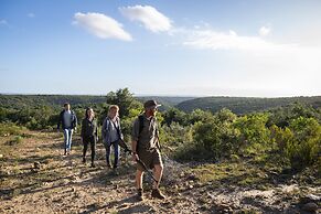 Stargazer Camp - Bellevue Forest Reserve