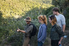 Stargazer Camp - Bellevue Forest Reserve