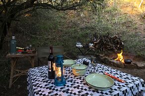Stargazer Camp - Bellevue Forest Reserve