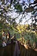 Stargazer Camp - Bellevue Forest Reserve