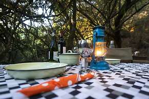 Stargazer Camp - Bellevue Forest Reserve