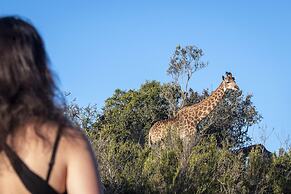 Stargazer Camp - Bellevue Forest Reserve