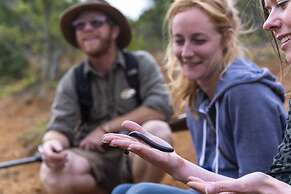 Stargazer Camp - Bellevue Forest Reserve