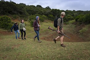 Stargazer Camp - Bellevue Forest Reserve