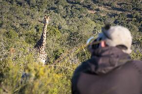 Stargazer Camp - Bellevue Forest Reserve