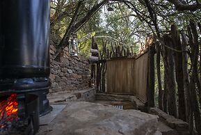 Stargazer Camp - Bellevue Forest Reserve