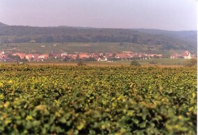 Land-gut-Hotel Schweigener Hof