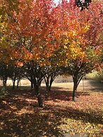 The Plantation House Boutique Inn