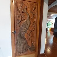 Casa Alice Surf Lodge - Hostel