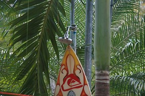 Casa Alice Surf Lodge - Hostel