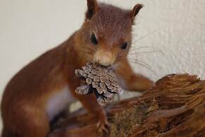 Pension Am Nicolaiplatz