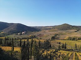 Tuscany View, Montalcino