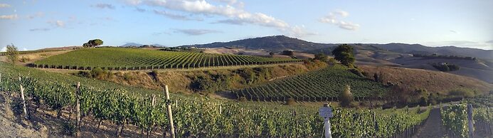 Tuscany View, Montalcino