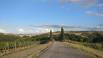 Tuscany View, Montalcino