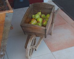 Ktima Noosfera wellness & retreat center