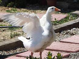 Ktima Noosfera wellness & retreat center