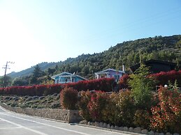 Ktima Noosfera wellness & retreat center