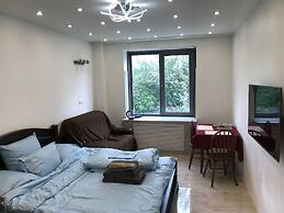 DZirconia Elagin Island Apartments