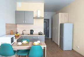 DZirconia Elagin Island Apartments