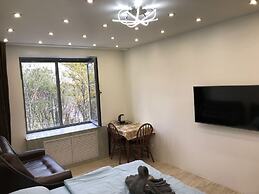 DZirconia Elagin Island Apartments