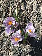 Wood River Lodge - Side-by-Side,Jet Boat transport included, Flight Op