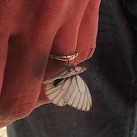 Wood River Lodge - Side-by-Side,Jet Boat transport included, Flight Op