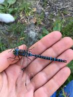 Wood River Lodge - Side-by-Side,Jet Boat transport included, Flight Op