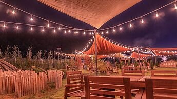 Sono Belle Cheongsong