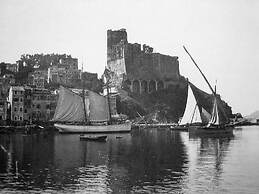 Shelley Affittacamere