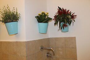 Shelley Affittacamere