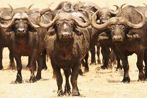 Ichingo Chobe River Lodge