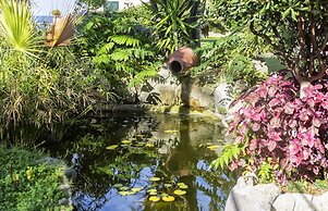 Hotel Terme Tritone Resort & Spa