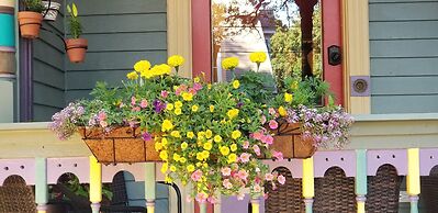 The Mardi Gras House