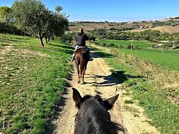 Agriturismo le Capannacce