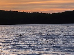 Active Lakeview Escape