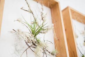 Apartamentos Praça Amarela