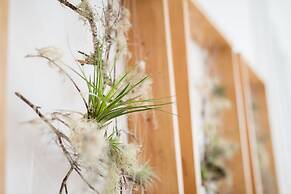 Apartamentos Praça Amarela