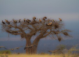 Simbamwenni Lodge and Camping